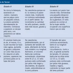 Tabla de estadios puberales de Tanner para niña y niño. Describe el desarrollo del cuerpo niña de 12 años y niño.