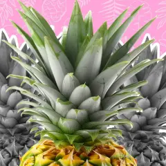 Primer plano de una piña con hojas verdes vibrantes y un fondo rosa con siluetas de hojas. ¡La piña tiene vitamina K!