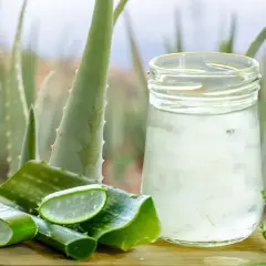 Gel de aloe vera en vaso y rodajas frescas, demostrando cómo el aloe vera regenera la piel.