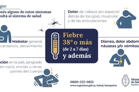 Síntomas del dengue: dolor de cabeza, fiebre alta, malestar general, erupción, diarrea. Consulta médica si presentas estos síntomas.