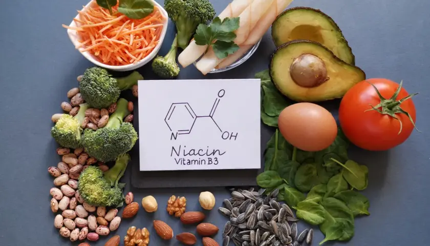 Alimentos ricos en vitamina B3, como brócoli, frijoles, aguacate y frutos secos, promueven la salud.