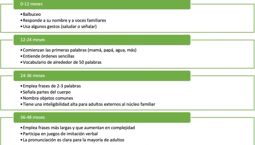 Tabla de hitos del desarrollo del lenguaje en niños, desde balbuceo hasta frases complejas. Útil para detectar retraso en el desarrollo del lenguaje.