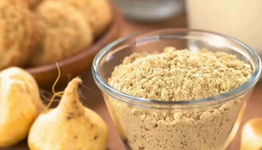 Maca en polvo en un bol de cristal, junto a raíces de maca. Se puede tomar ginseng y maca a la vez para potenciar sus beneficios.