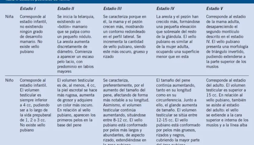 Tabla de estadios puberales de Tanner para niña y niño. Describe el desarrollo del cuerpo niña de 12 años y niño.