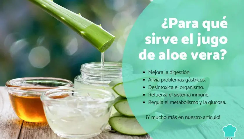 Jugo de aloe vera: mejora digestión, alivia gastritis, desintoxica, refuerza inmunidad y regula metabolismo. Descubre para qué sirve el aloe vera.