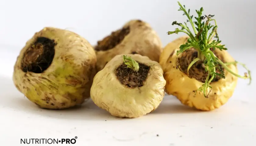 Cuatro tubérculos de maca, mostrando diferentes tipos de maca, con brotes verdes en algunos.