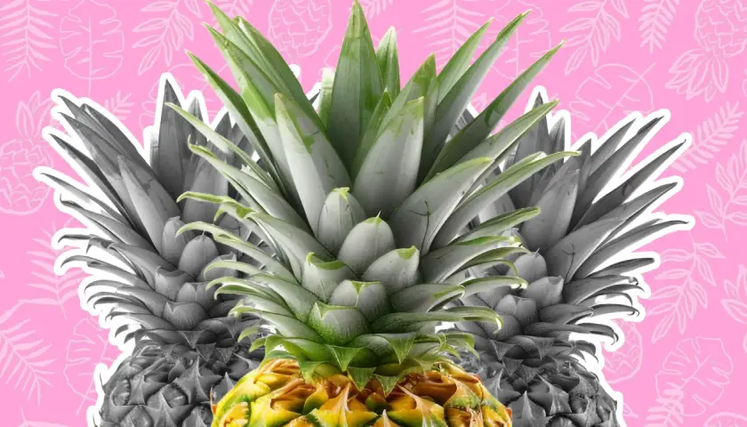 Primer plano de una piña con hojas verdes vibrantes y un fondo rosa con siluetas de hojas. ¡La piña tiene vitamina K!
