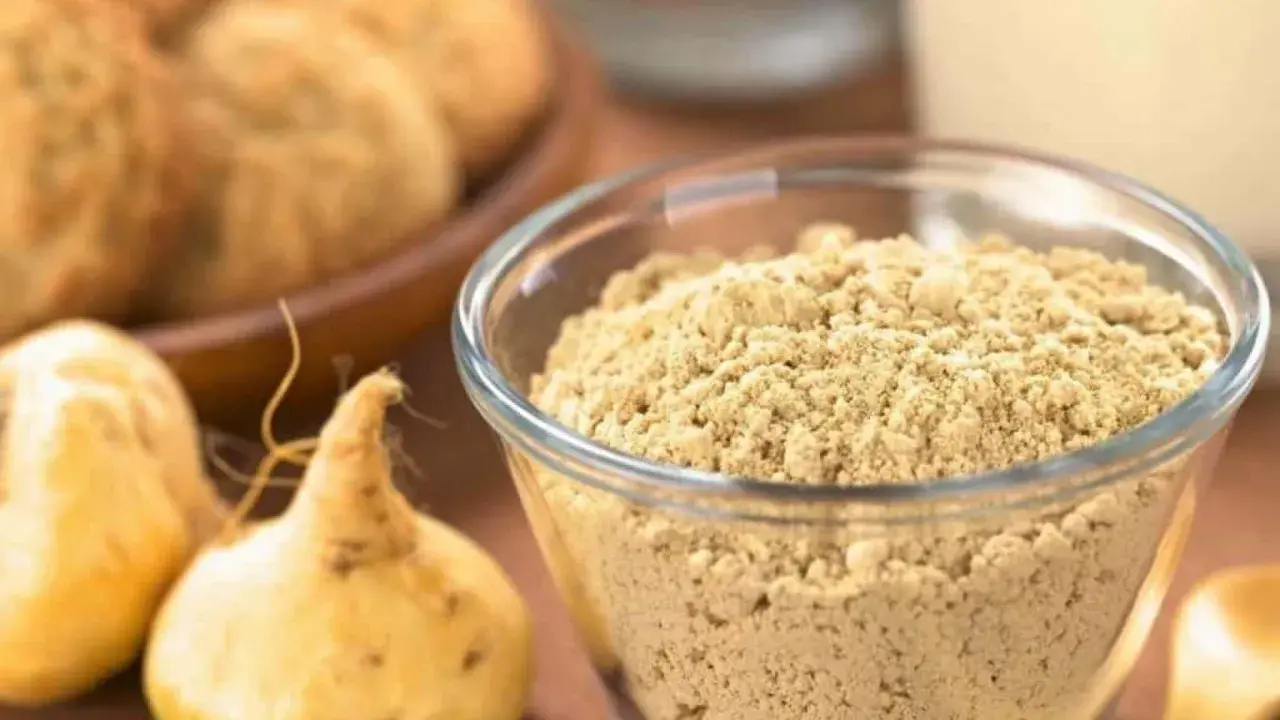 Maca en polvo en un bol de cristal, junto a raíces de maca. Se puede tomar ginseng y maca a la vez para potenciar sus beneficios.