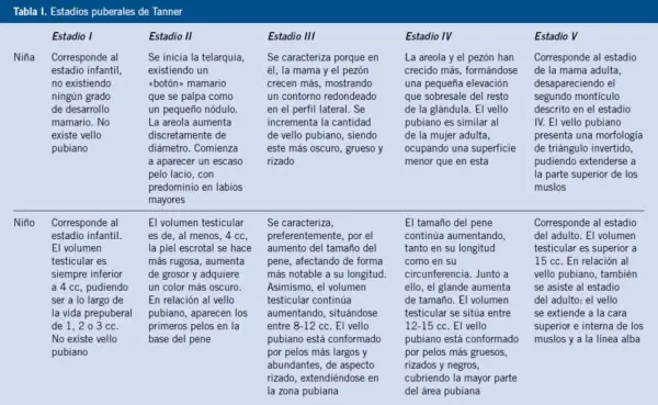 Tabla de estadios puberales de Tanner para niña y niño. Describe el desarrollo del cuerpo niña de 12 años y niño.